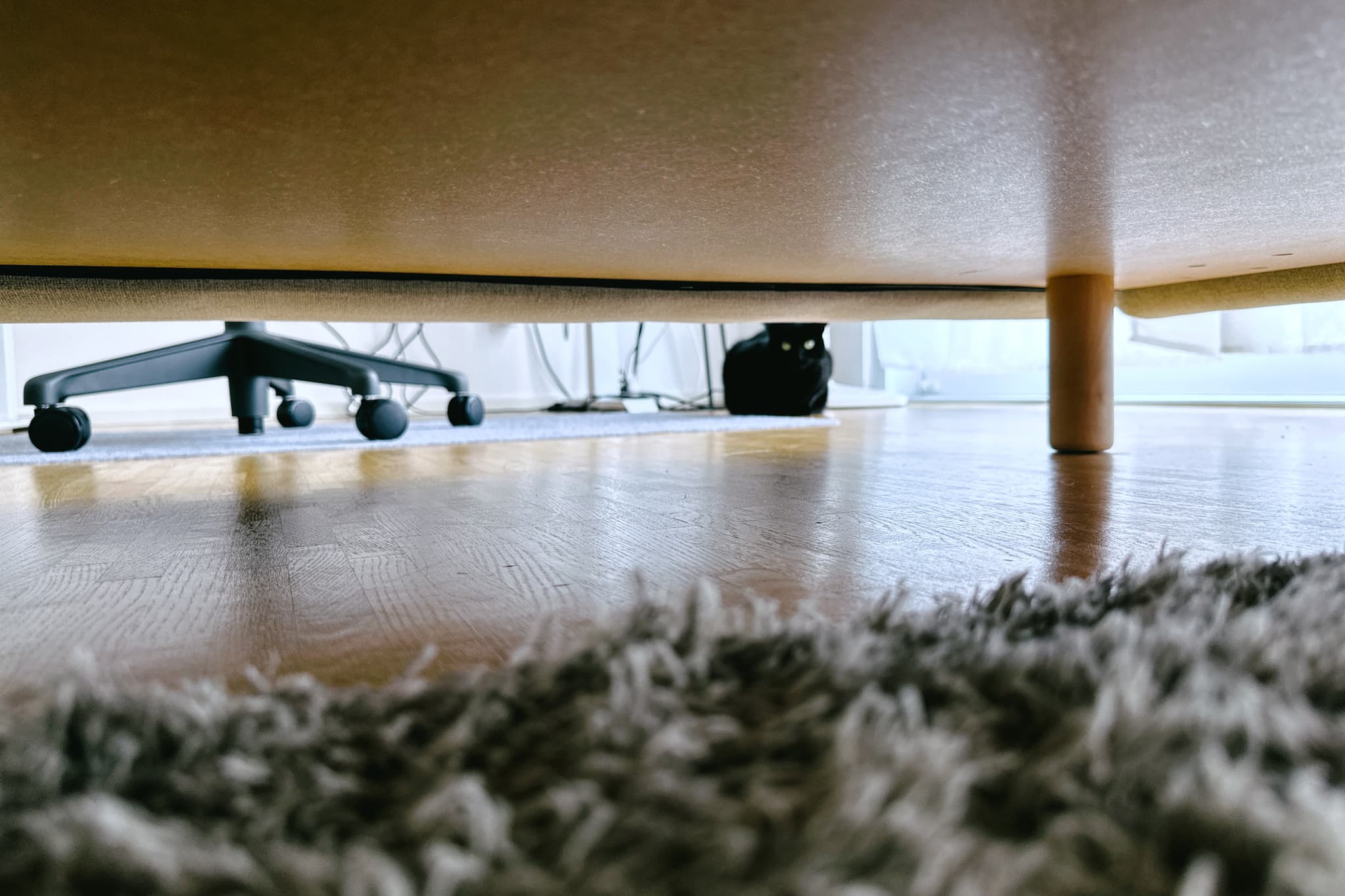 SpyKat