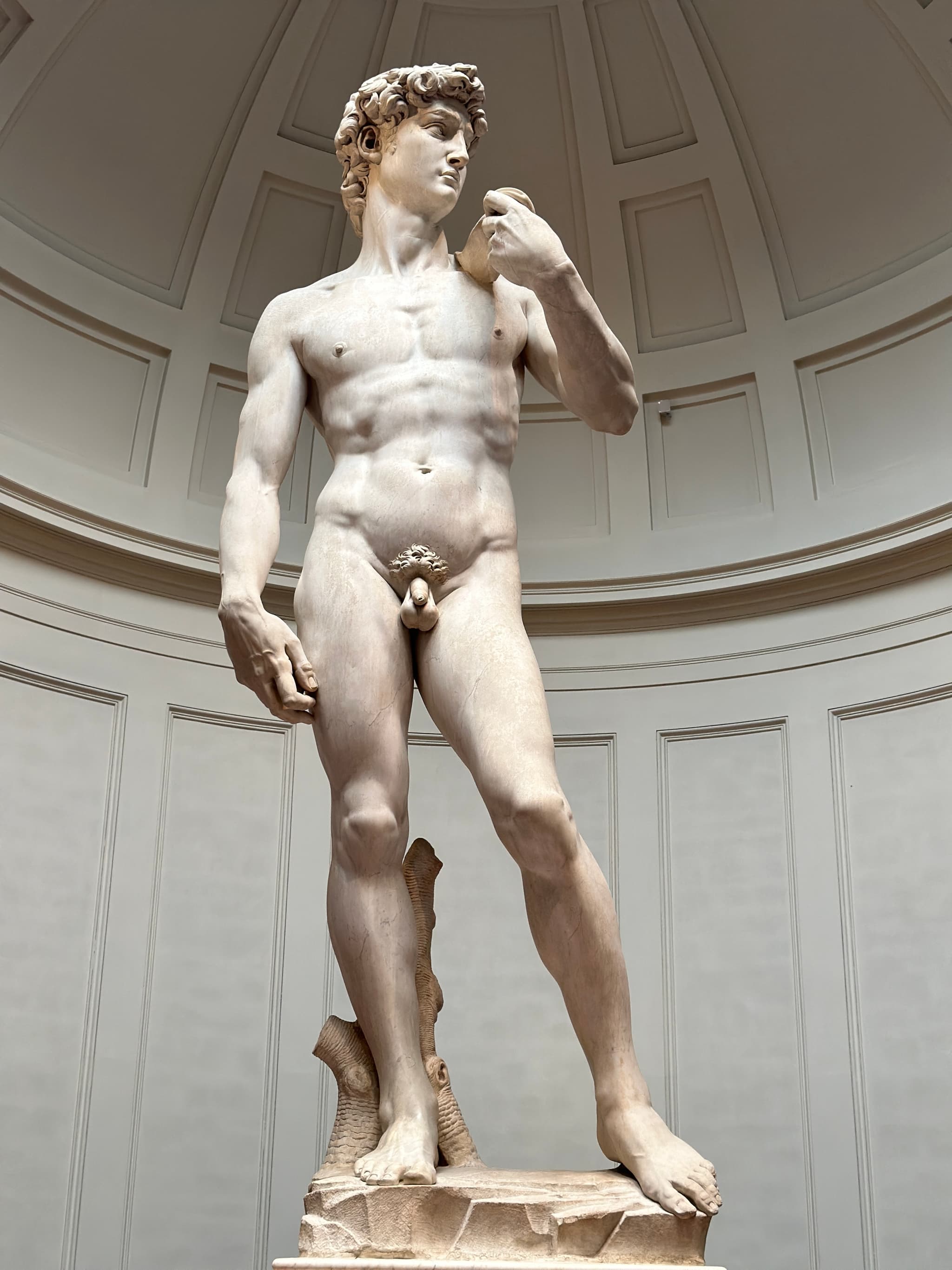 David