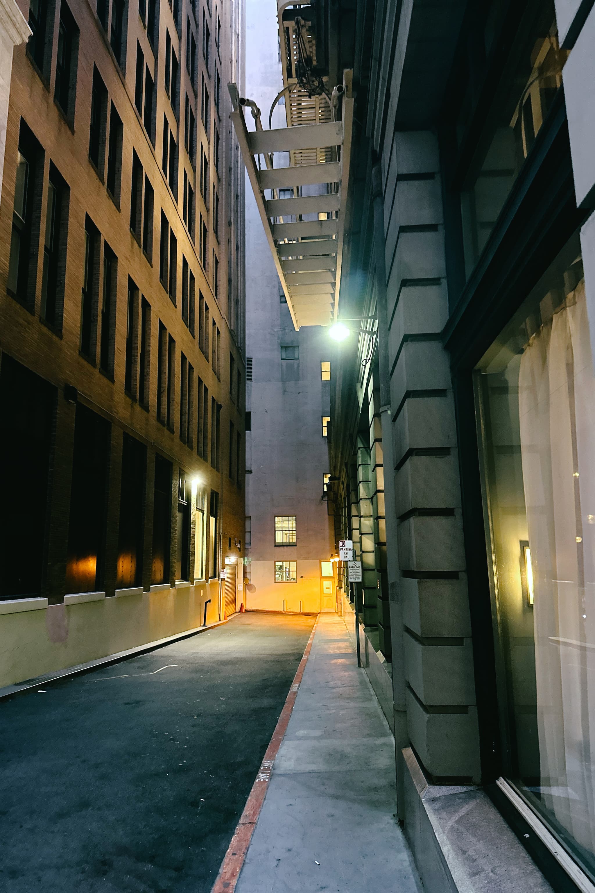 SF Night