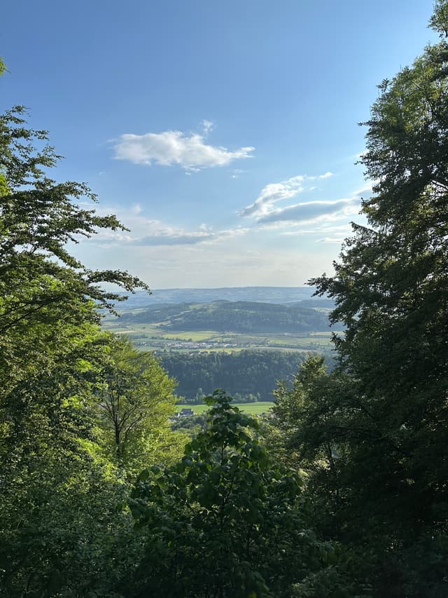 Zurich hike